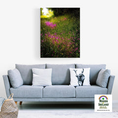 Canvas Wrap - Roadside Wildflowers in County Clare, Ireland - James A. Truett - Moods of Ireland - Irish Art