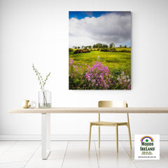 Canvas Wrap - Lissycasey Wildflowers, County Clare, Ireland - James A. Truett - Moods of Ireland - Irish Art