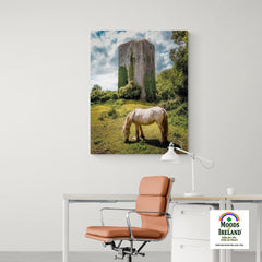 Canvas Wrap - Ballygriffy Castle, County Clare - James A. Truett - Moods of Ireland - Irish Art