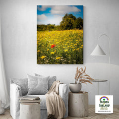 Canvas Wrap - Red Poppy in Yellow Wildflower Meadow, Ballynacally, County Clare - James A. Truett - Moods of Ireland - Irish Art