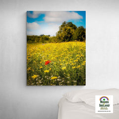 Canvas Wrap - Red Poppy in Yellow Wildflower Meadow, Ballynacally, County Clare - James A. Truett - Moods of Ireland - Irish Art