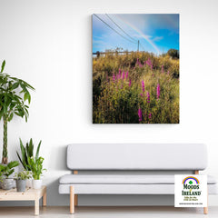 Canvas Wrap - County Clare Rainbow over Roadside Wildflowers - Moods of Ireland