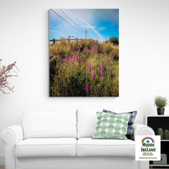 Canvas Wrap - County Clare Rainbow over Roadside Wildflowers - Moods of Ireland