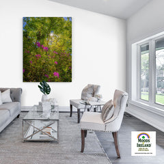 Canvas Wrap - Sun rays and Rhododendrons in Paradise, County Clare - James A. Truett - Moods of Ireland - Irish Art