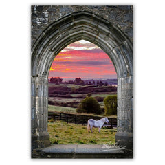 Canvas Wrap - Horse at Sunrise in County Clare - James A. Truett - Moods of Ireland - Irish Art