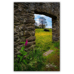 Canvas Wrap - Foxglove and Dandelion Meadow, County Clare - James A. Truett - Moods of Ireland - Irish Art