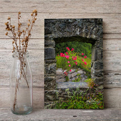 Canvas Wrap - Wild Irish Roses in County Galway - James A. Truett - Moods of Ireland - Irish Art