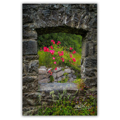 Canvas Wrap - Wild Irish Roses in County Galway - James A. Truett - Moods of Ireland - Irish Art