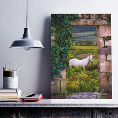 Canvas Wrap - Horse in the Irish Countryside of County Clare - James A. Truett - Moods of Ireland - Irish Art