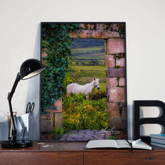 Canvas Wrap - Horse in the Irish Countryside of County Clare - James A. Truett - Moods of Ireland - Irish Art