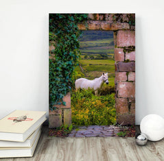 Canvas Wrap - Horse in the Irish Countryside of County Clare - James A. Truett - Moods of Ireland - Irish Art