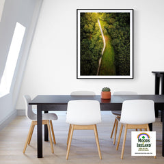 Print - Forest Path at Lough Graney, County Clare - James A. Truett - Moods of Ireland - Irish Art