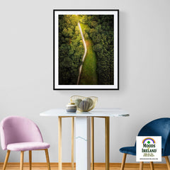 Print - Forest Path at Lough Graney, County Clare - James A. Truett - Moods of Ireland - Irish Art