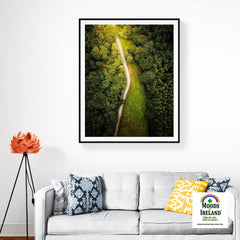 Print - Forest Path at Lough Graney, County Clare - James A. Truett - Moods of Ireland - Irish Art