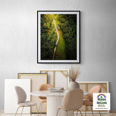 Print - Forest Path at Lough Graney, County Clare - James A. Truett - Moods of Ireland - Irish Art
