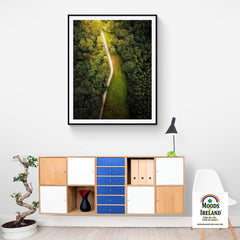 Print - Forest Path at Lough Graney, County Clare - James A. Truett - Moods of Ireland - Irish Art