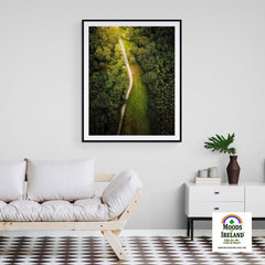 Print - Forest Path at Lough Graney, County Clare - James A. Truett - Moods of Ireland - Irish Art