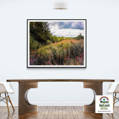 Print - Great Willowherb Wildflower Explosion, County Clare - Moods of Ireland