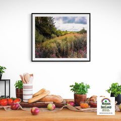 Print - Great Willowherb Wildflower Explosion, County Clare - Moods of Ireland