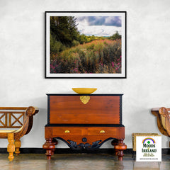 Print - Great Willowherb Wildflower Explosion, County Clare - Moods of Ireland