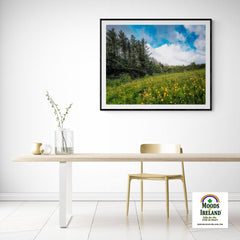 Print - Field of Buttercups in Spring, County Clare - James A. Truett - Moods of Ireland - Irish Art