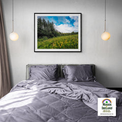 Print - Field of Buttercups in Spring, County Clare - James A. Truett - Moods of Ireland - Irish Art