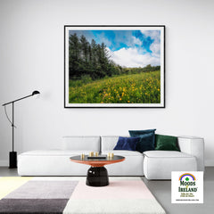 Print - Field of Buttercups in Spring, County Clare - James A. Truett - Moods of Ireland - Irish Art