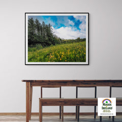 Print - Field of Buttercups in Spring, County Clare - James A. Truett - Moods of Ireland - Irish Art