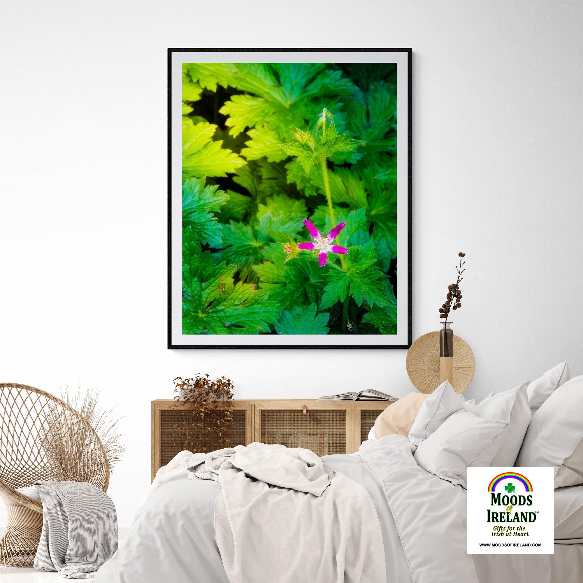 Print - Wildflower in Greenery, Tulla, County Clare - James A. Truett - Moods of Ireland - Irish Art