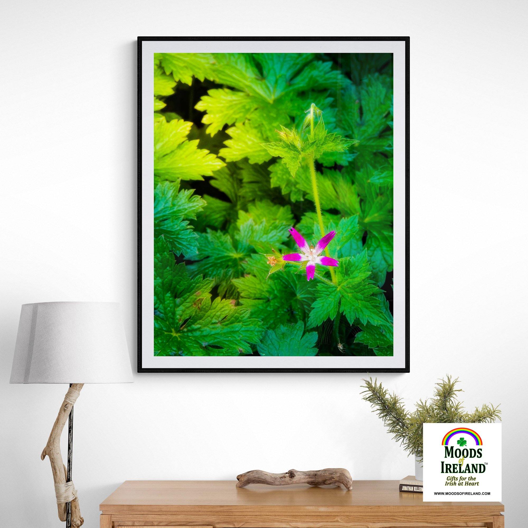 Print - Wildflower in Greenery, Tulla, County Clare - James A. Truett - Moods of Ireland - Irish Art
