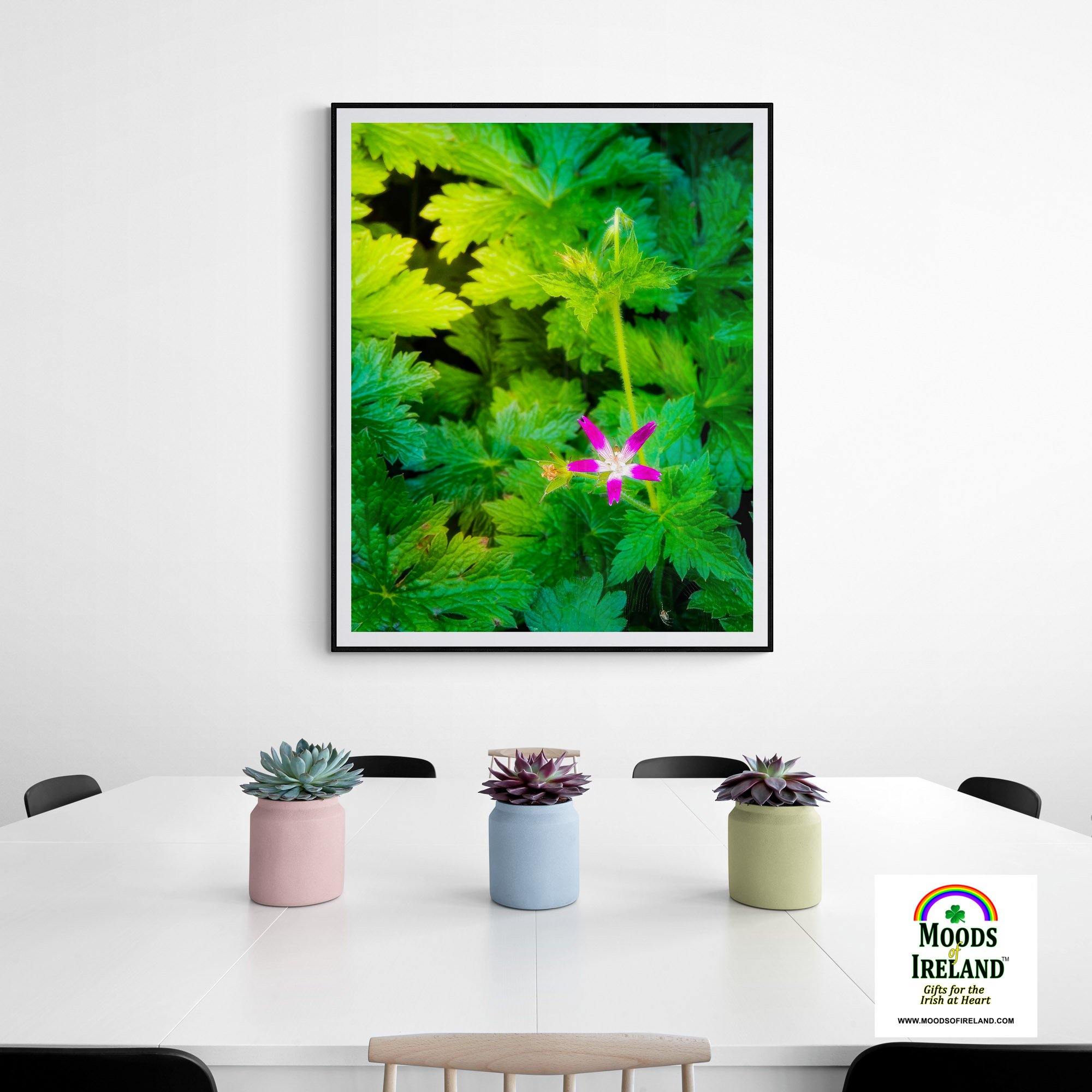 Print - Wildflower in Greenery, Tulla, County Clare - James A. Truett - Moods of Ireland - Irish Art