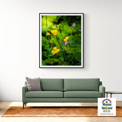 Print - Wildflowers in Filtered Sunlight, Ballylee, County Galway - James A. Truett - Moods of Ireland - Irish Art