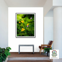 Print - Wildflowers in Filtered Sunlight, Ballylee, County Galway - James A. Truett - Moods of Ireland - Irish Art