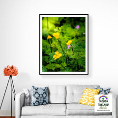 Print - Wildflowers in Filtered Sunlight, Ballylee, County Galway - James A. Truett - Moods of Ireland - Irish Art