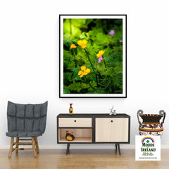 Print - Wildflowers in Filtered Sunlight, Ballylee, County Galway - James A. Truett - Moods of Ireland - Irish Art