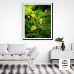 Print - Wildflowers in Filtered Sunlight, Ballylee, County Galway - James A. Truett - Moods of Ireland - Irish Art