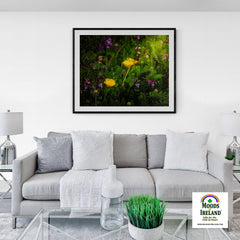 Print - Buttercups and other Wildflowers, County Clare - James A. Truett - Moods of Ireland - Irish Art
