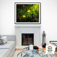 Print - Buttercups and other Wildflowers, County Clare - James A. Truett - Moods of Ireland - Irish Art