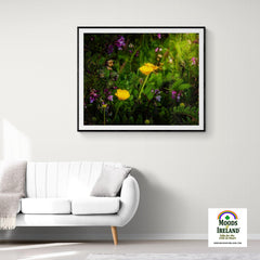 Print - Buttercups and other Wildflowers, County Clare - James A. Truett - Moods of Ireland - Irish Art