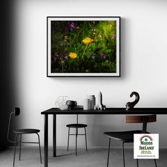 Print - Buttercups and other Wildflowers, County Clare - James A. Truett - Moods of Ireland - Irish Art