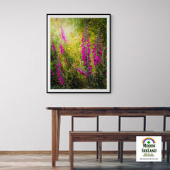 Print - Fairy Fingers and Dandelions in County Clare - James A. Truett - Moods of Ireland - Irish Art