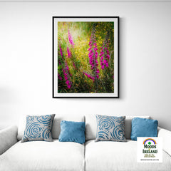 Print - Fairy Fingers and Dandelions in County Clare - James A. Truett - Moods of Ireland - Irish Art