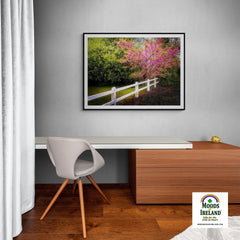 Print - Cherry Blossoms and White-washed Fence, County Clare - James A. Truett - Moods of Ireland - Irish Art