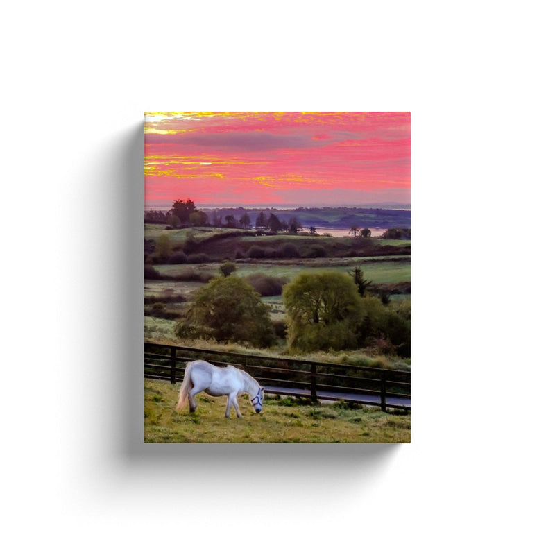 Canvas Wrap - White Horse under Irish Sunrise, County Clare - James A. Truett - Moods of Ireland - Irish Art