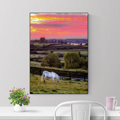 Canvas Wrap - White Horse under Irish Sunrise, County Clare - James A. Truett - Moods of Ireland - Irish Art