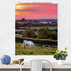 Canvas Wrap - White Horse under Irish Sunrise, County Clare - James A. Truett - Moods of Ireland - Irish Art