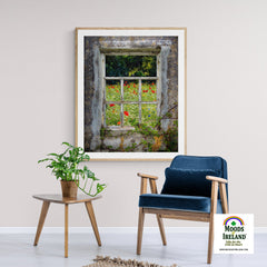 Print - Irish Wildflower Meadow framed by Weathered Window - James A. Truett - Moods of Ireland - Irish Art