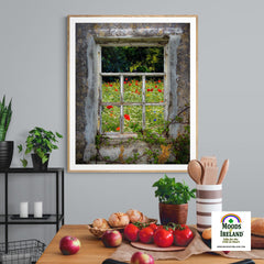 Print - Irish Wildflower Meadow framed by Weathered Window - James A. Truett - Moods of Ireland - Irish Art