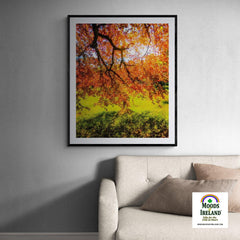 Print - Under the Autograph Tree at Coole Park, County Galway - James A. Truett - Moods of Ireland - Irish Art