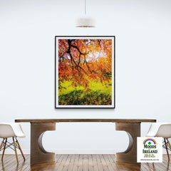 Print - Under the Autograph Tree at Coole Park, County Galway - James A. Truett - Moods of Ireland - Irish Art